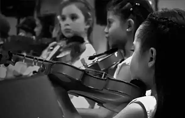Violin-MME-Web